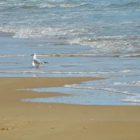 Vacanze A Casa Appartamento *